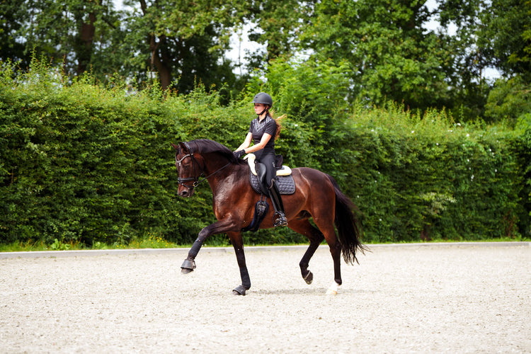 Harry´s Horse winterdeken