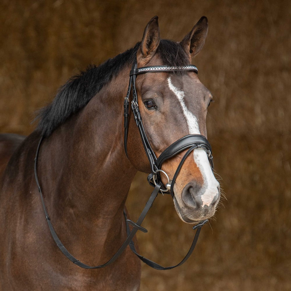 Harry´s Horse Bridle Drops