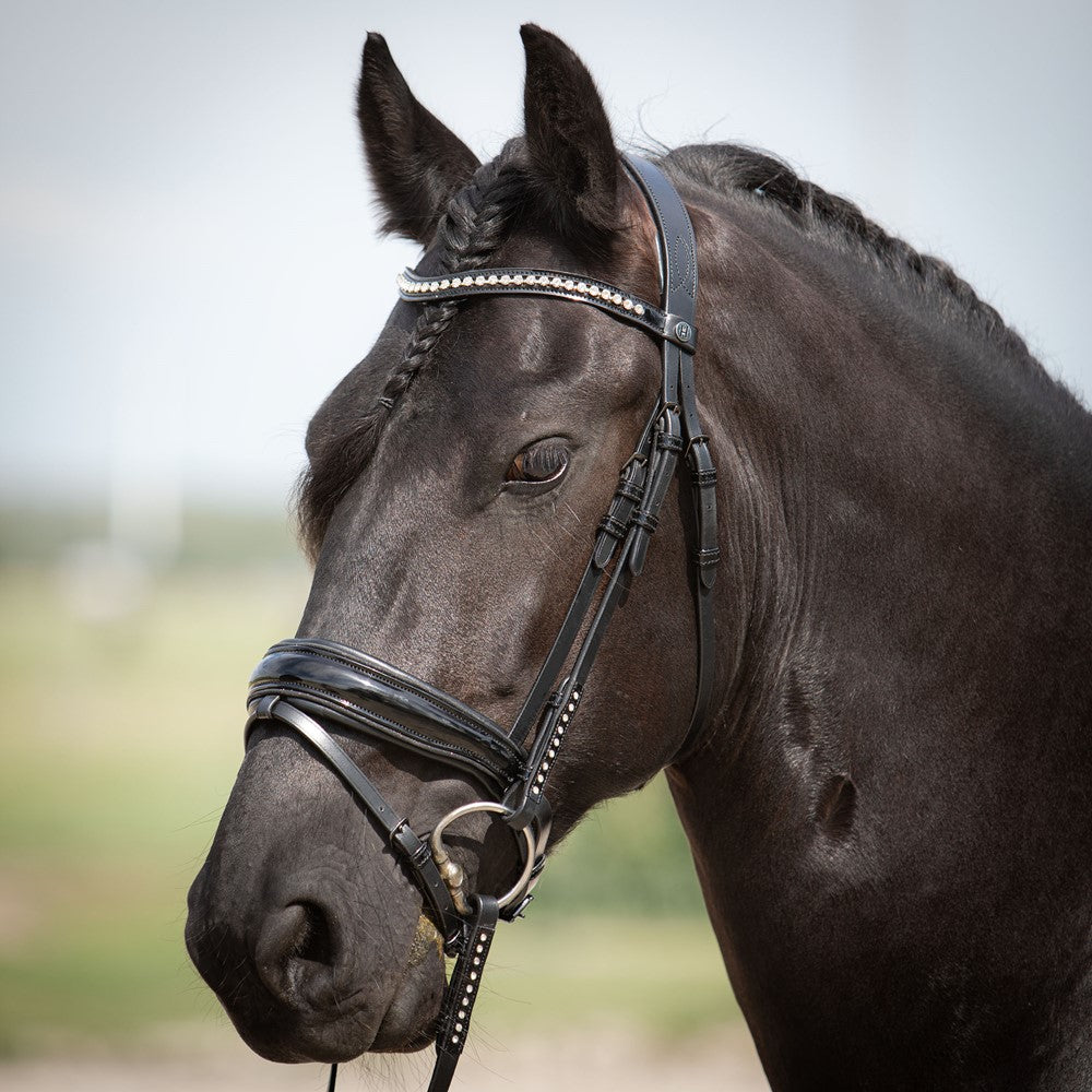 Harry´s Horse Hoofdstel Diamond Lacque