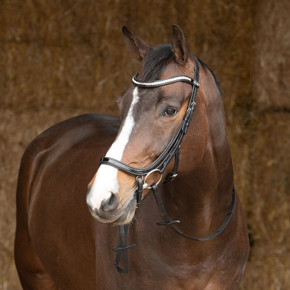 Harry´s Horse Hoofdstel Anatomic Lacque
