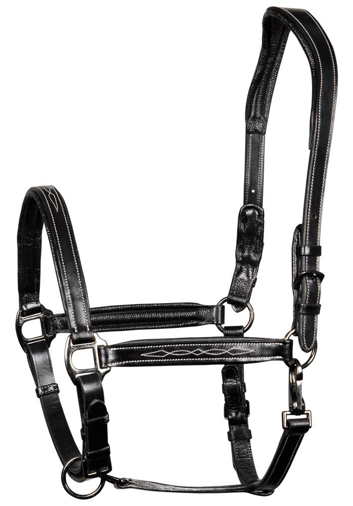 Harry´s Horse Halster Leder Supreme