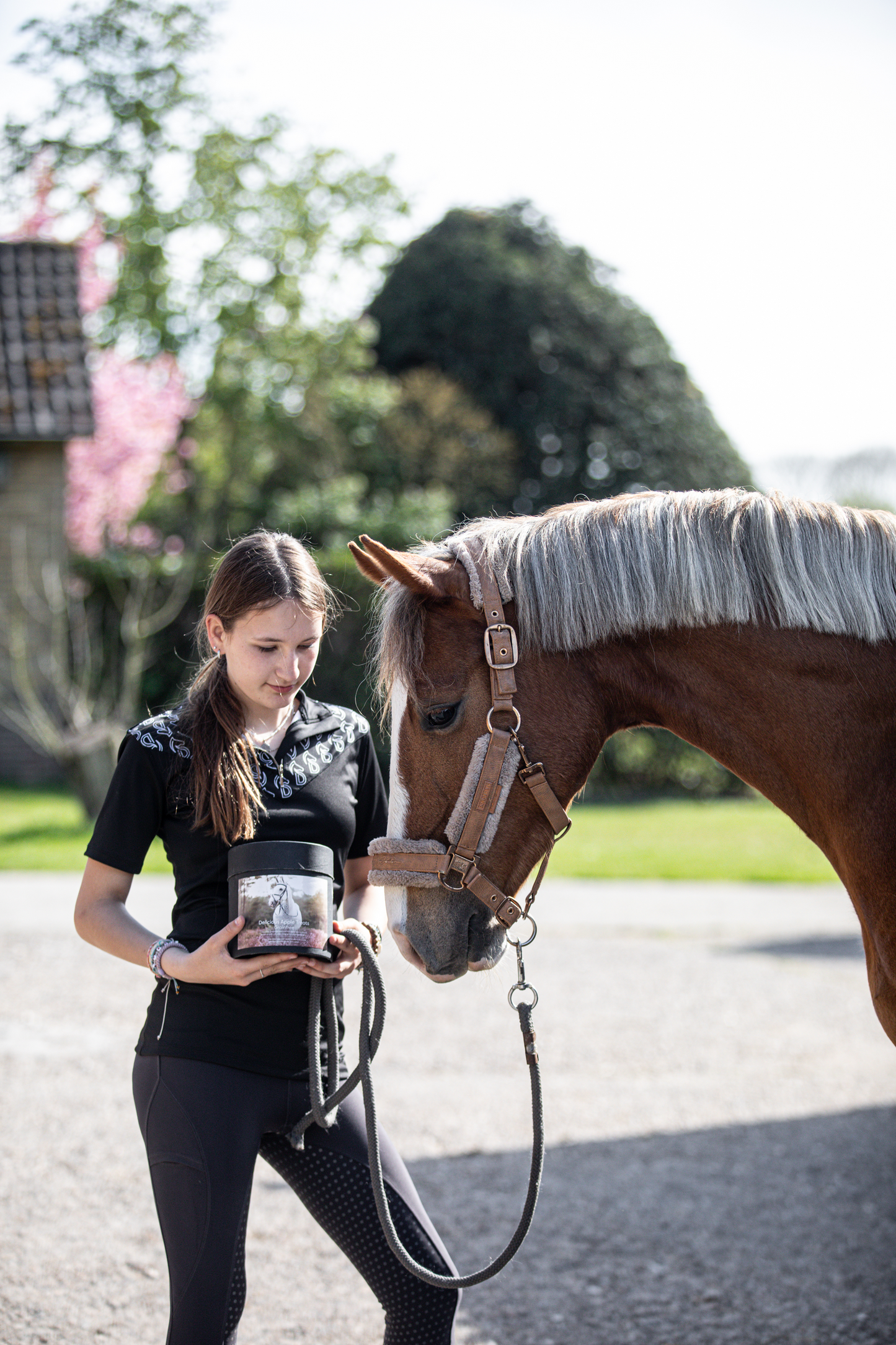 donqui paardensnoepjes graanvrij en suikerarm
