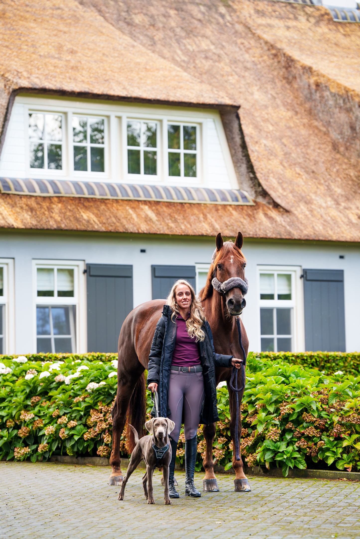 Donqui superior riding leggings grey