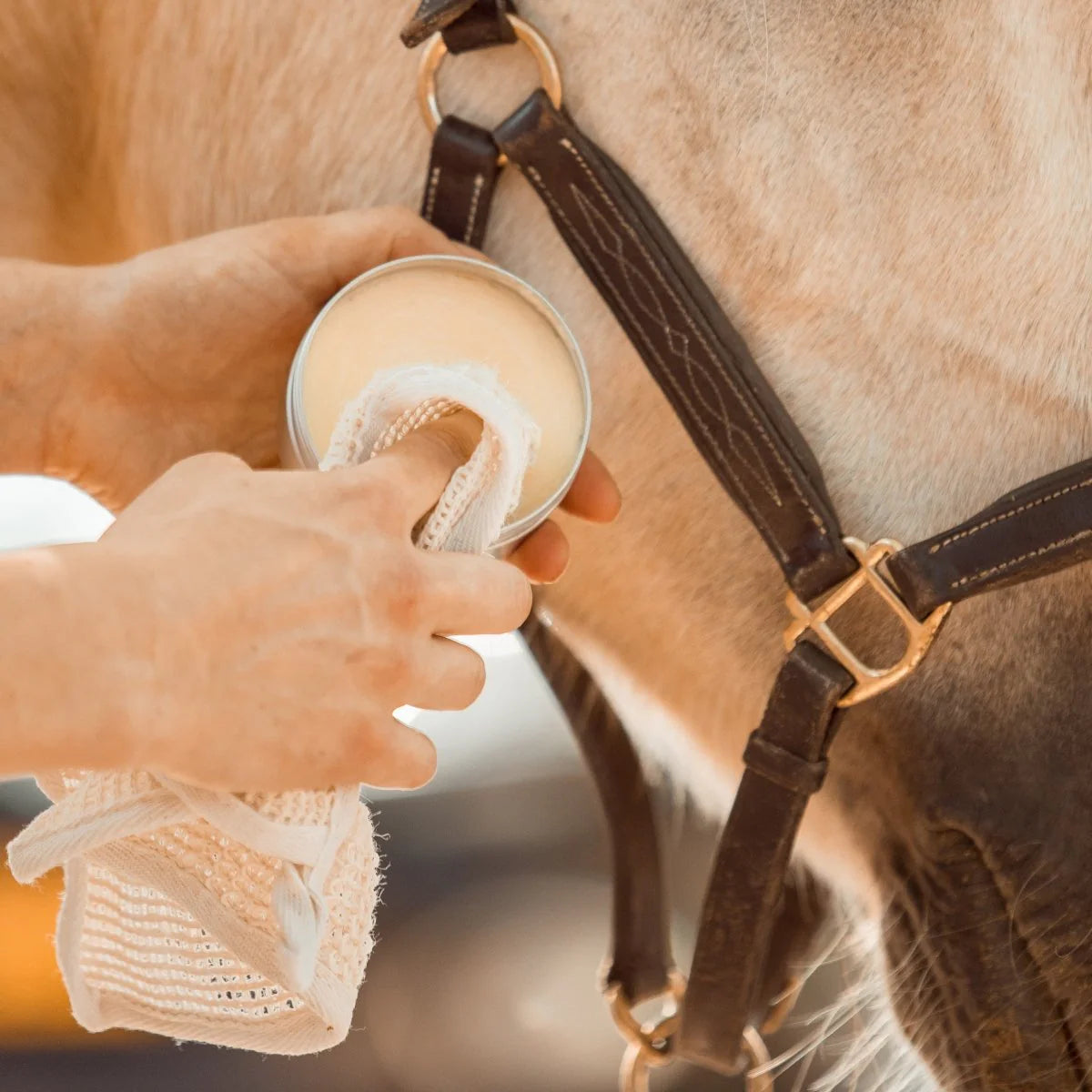 PIPPA Leather & Care Lederwax