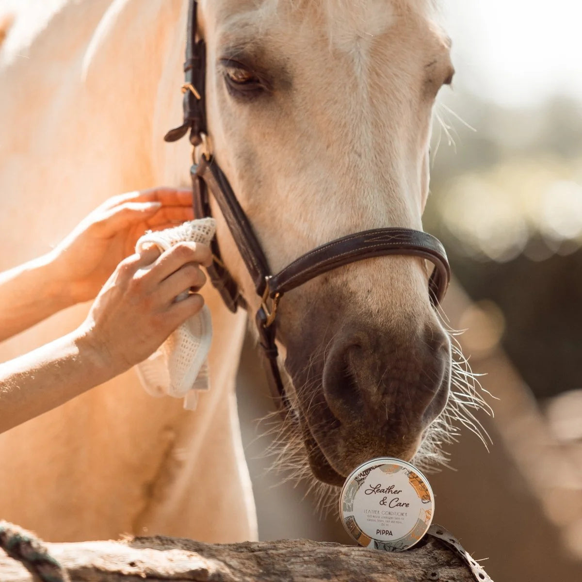 PIPPA Leather & Care Lederwax
