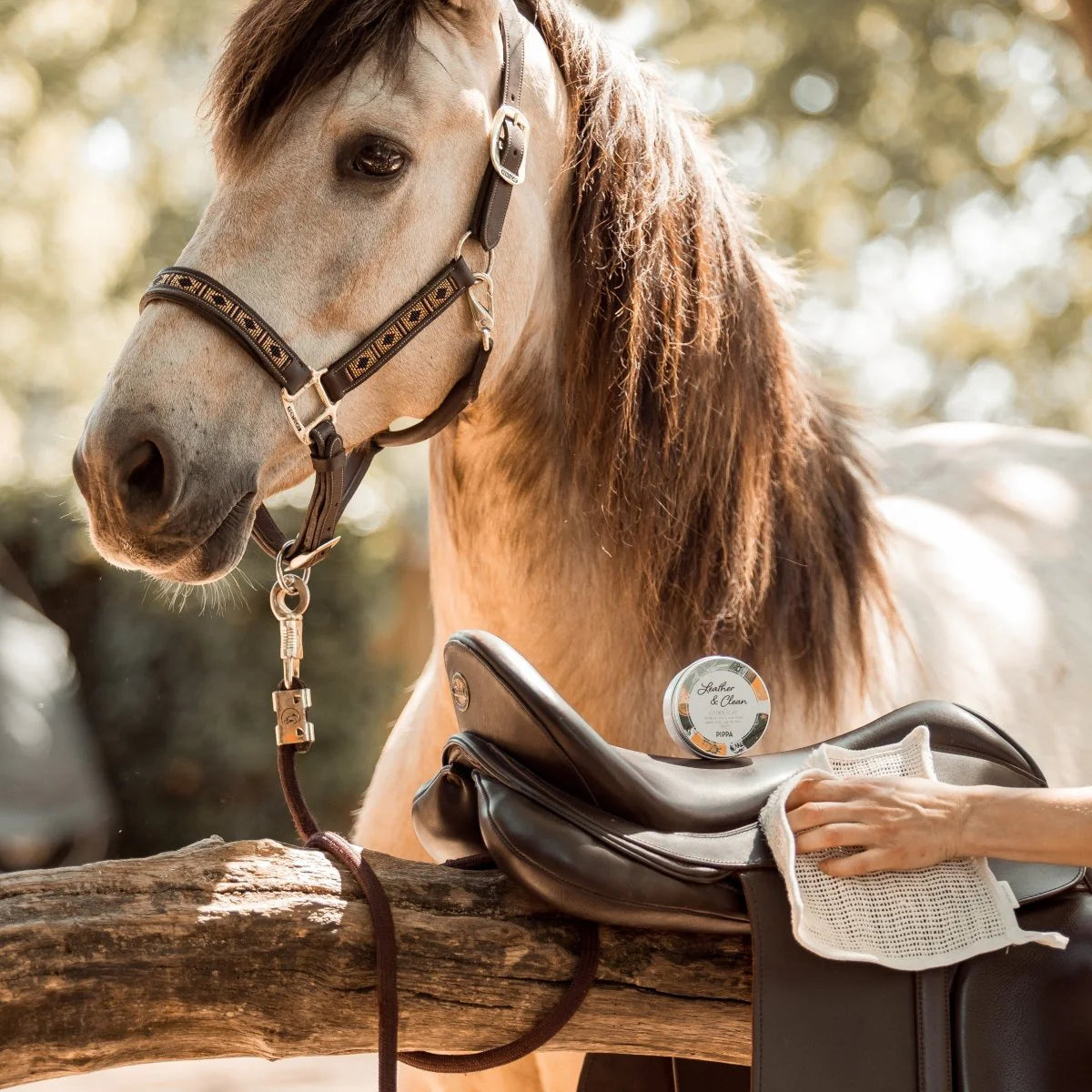 PIPPA Leather & Clean Lederzeep