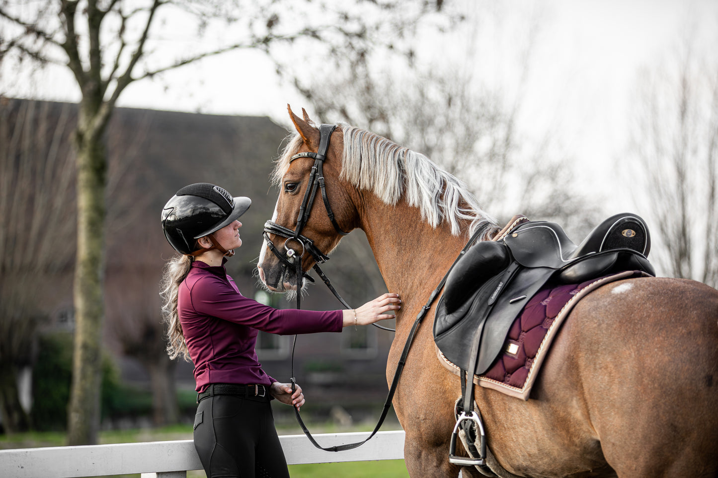 Donqui baselayer Burgundy