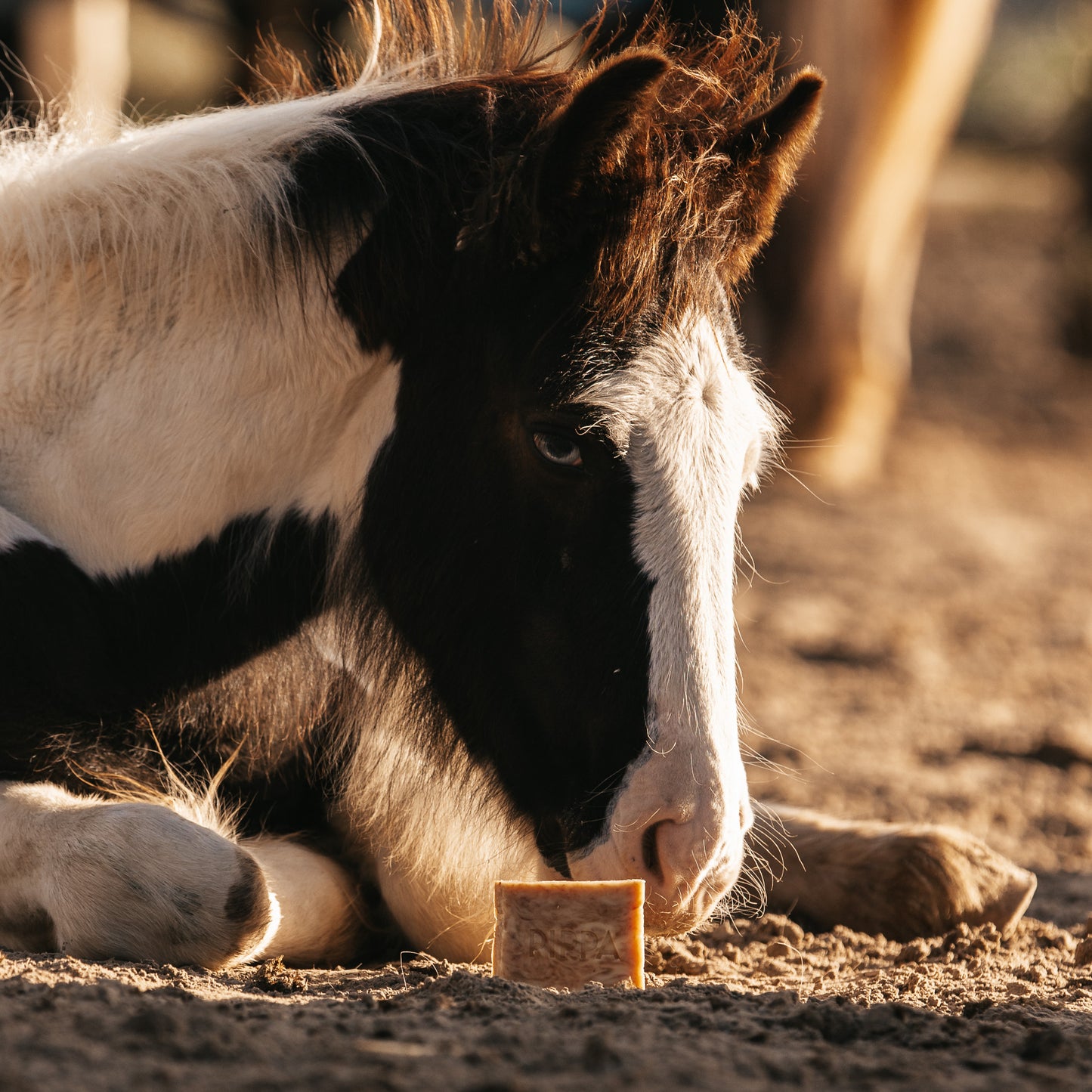 PIPPA Paardenshampoo Honey & Propolis