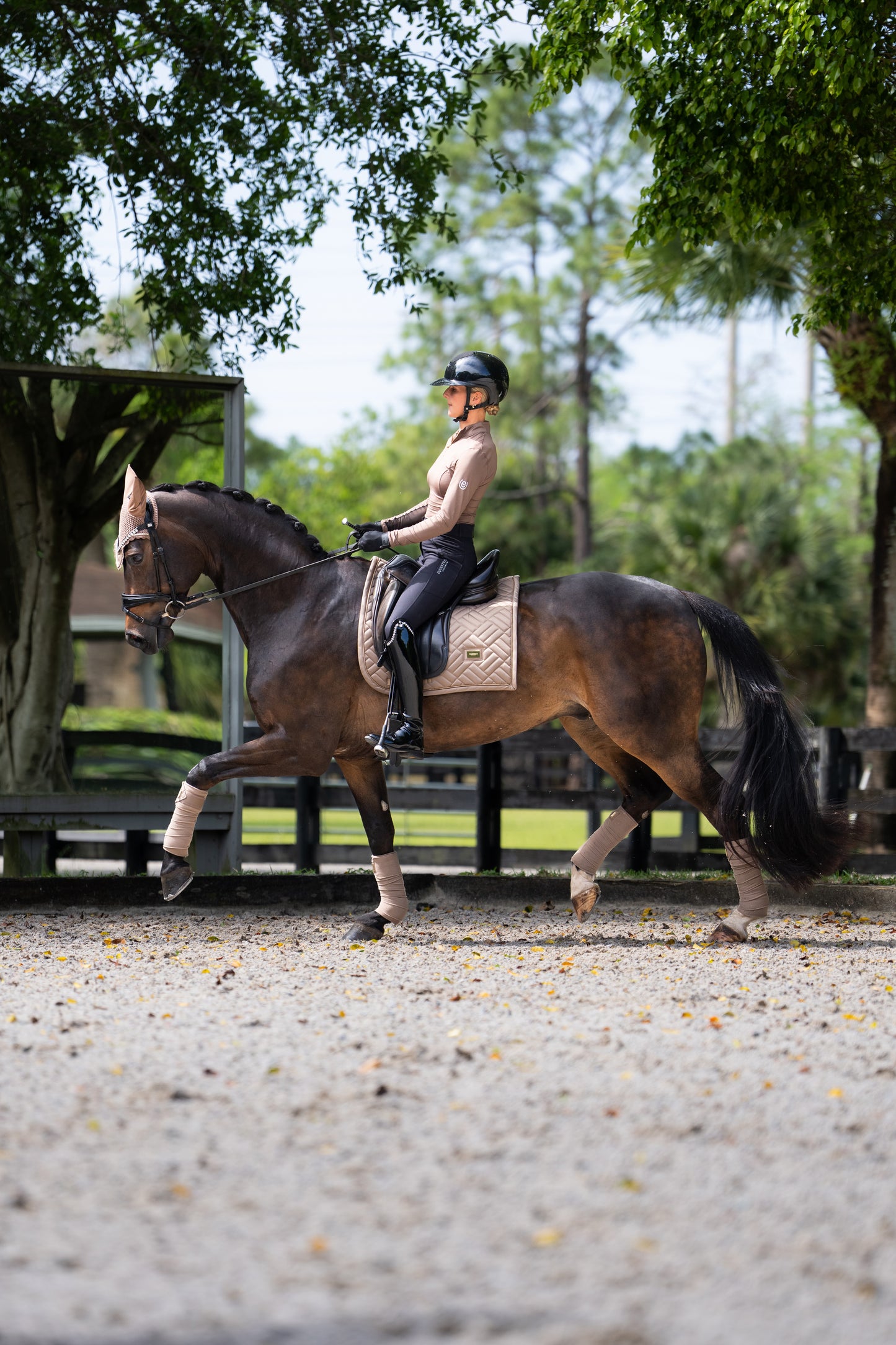 Dressage Saddle Pad Modern Champagne