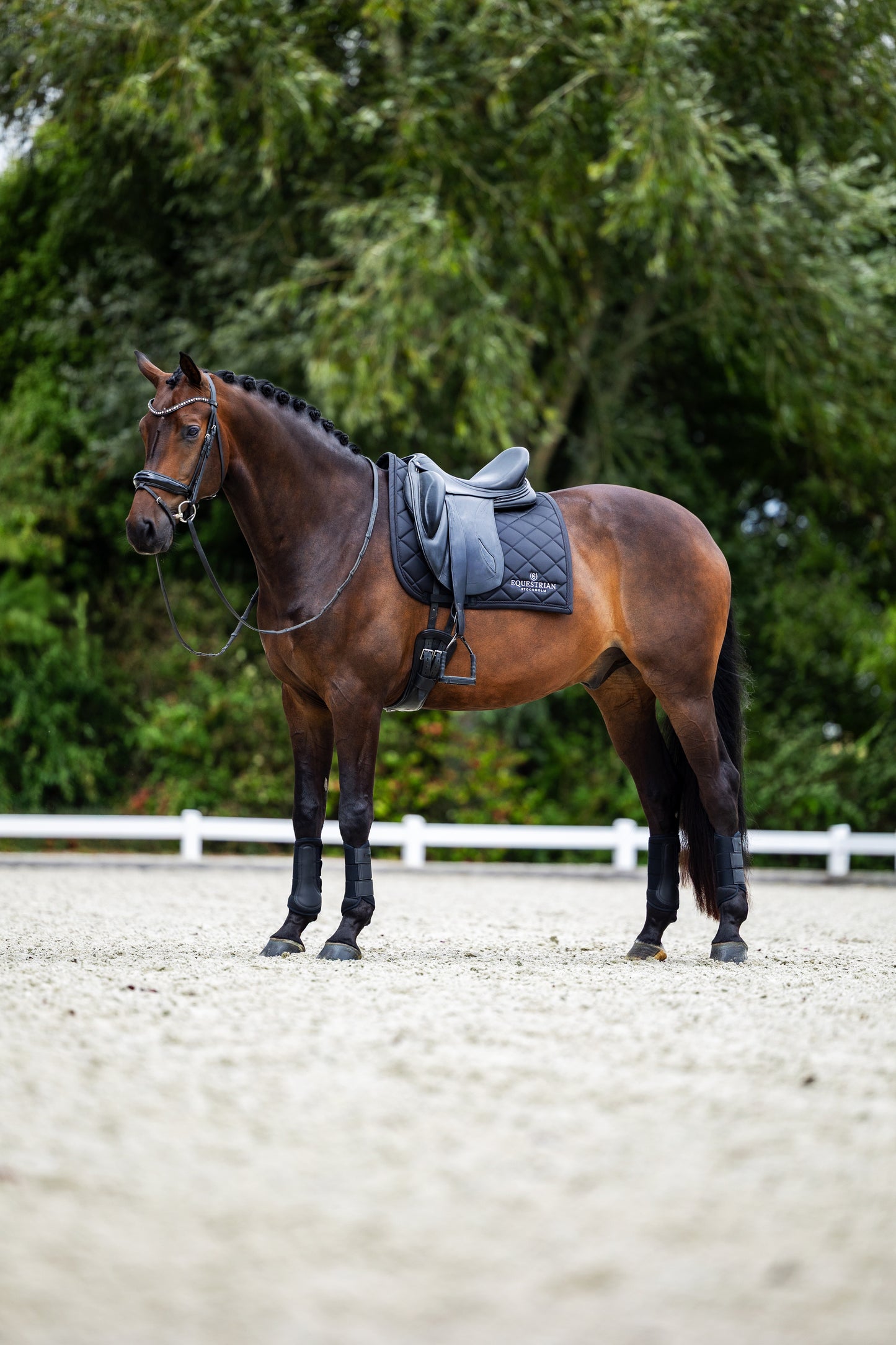 Dressage Saddle Pad Line Black