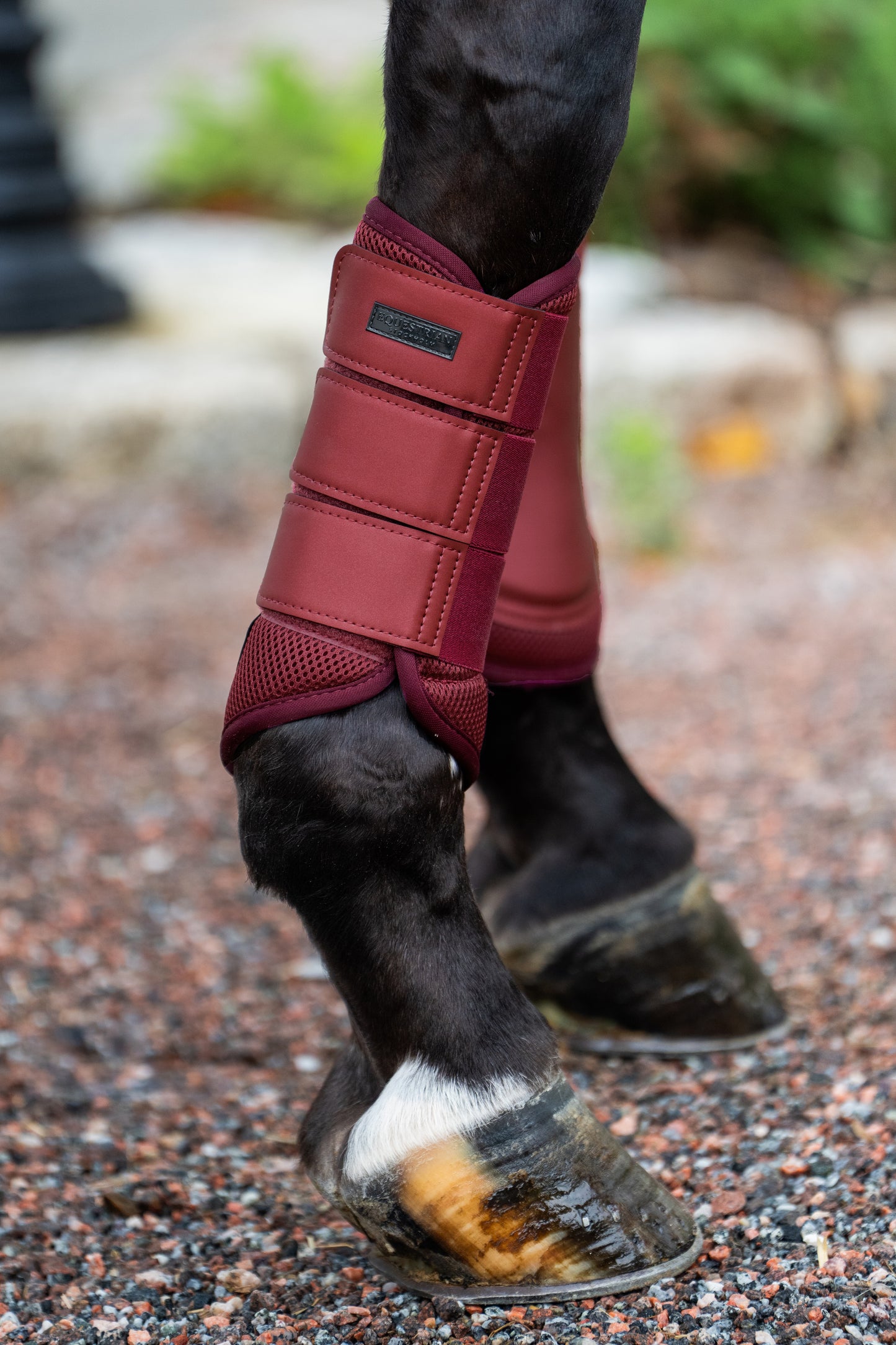 Classic Mesh Brushing Boots Bordeaux