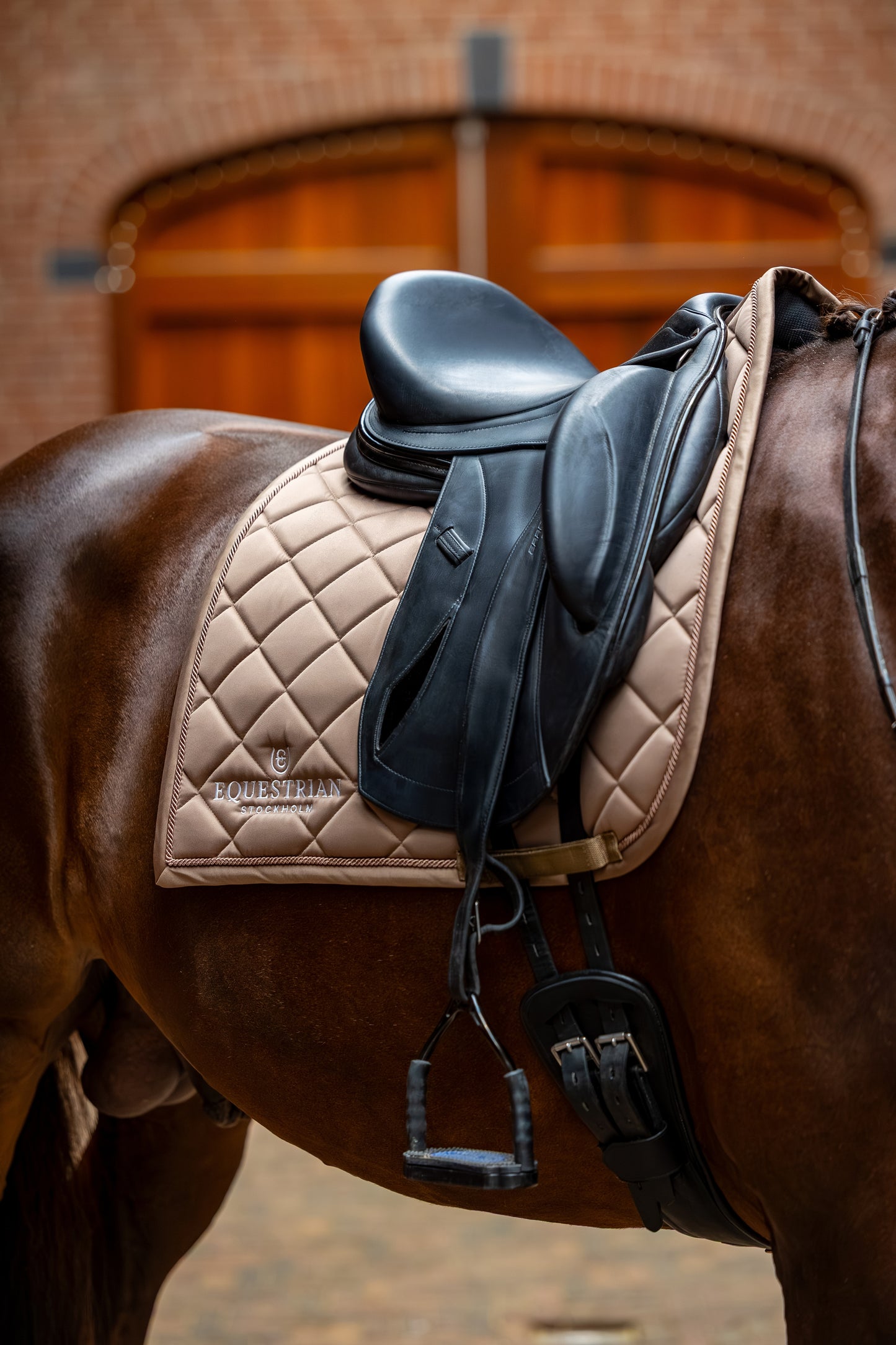 Dressage Saddle Pad Line Champagne