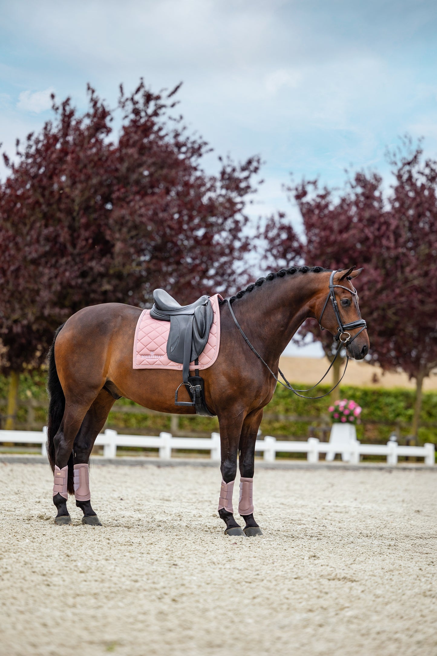 Dressage Saddle Pad Line Pink