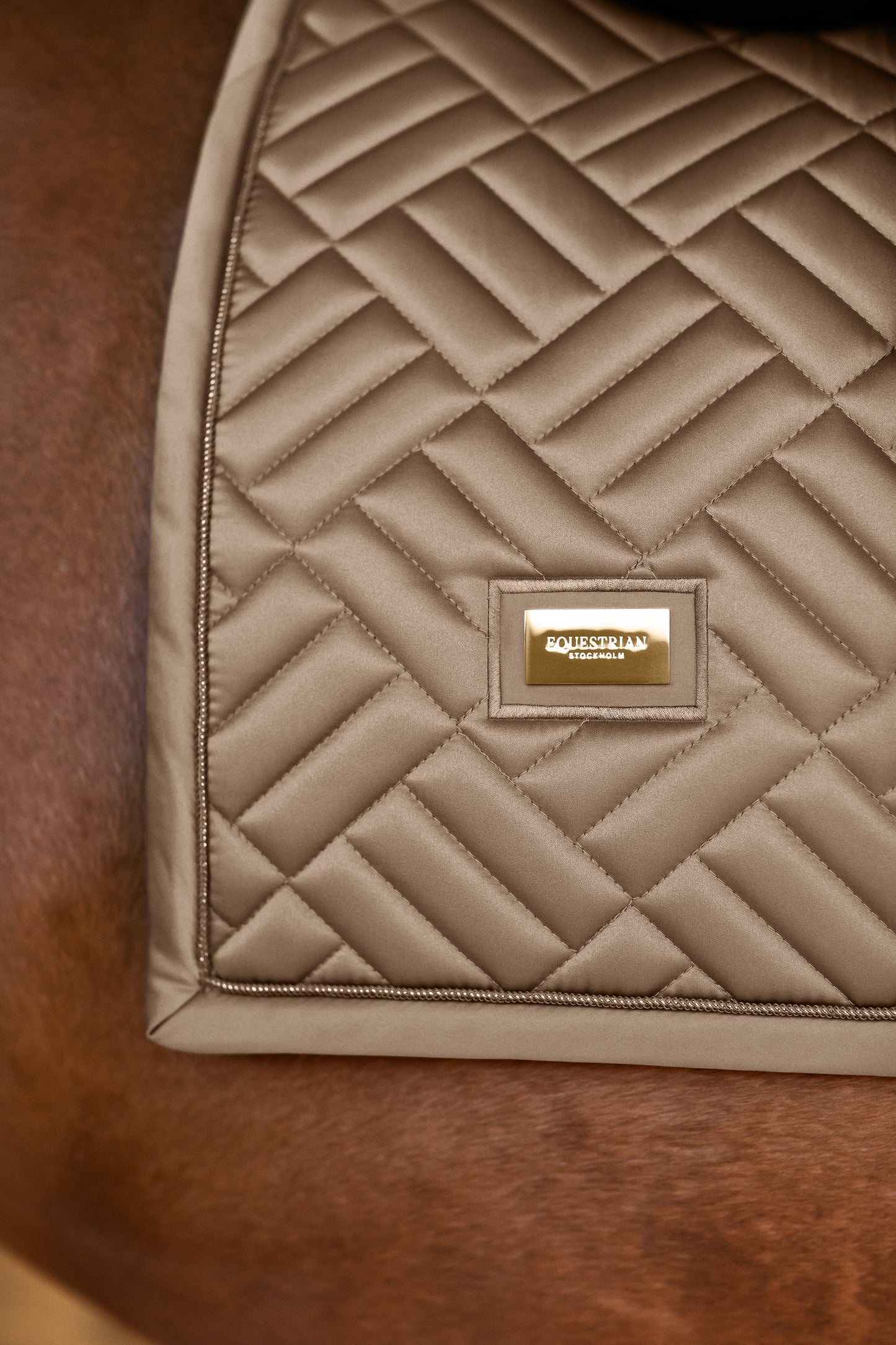Dressage Saddle Pad Modern Champagne